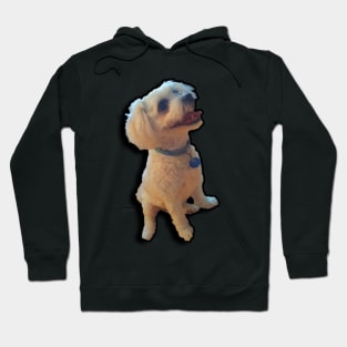 Dog Design Hoodie